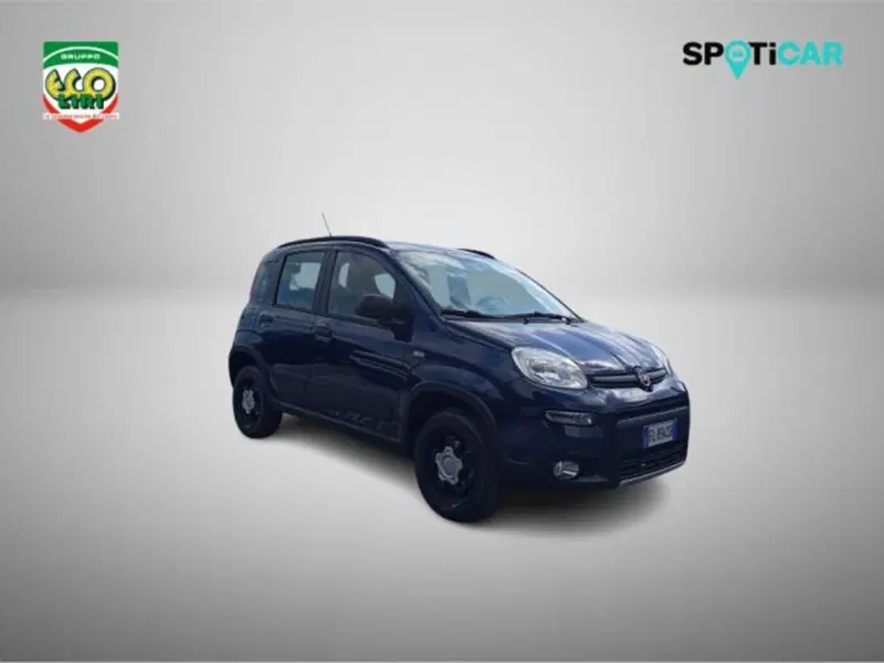 Fiat Panda Cross usata a Frosinone (3)