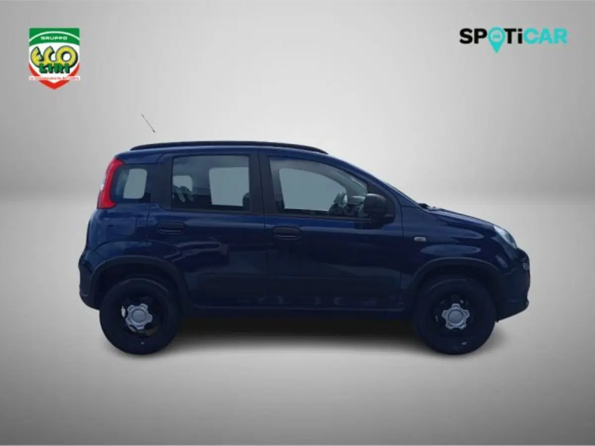 Fiat Panda Cross usata a Frosinone (4)