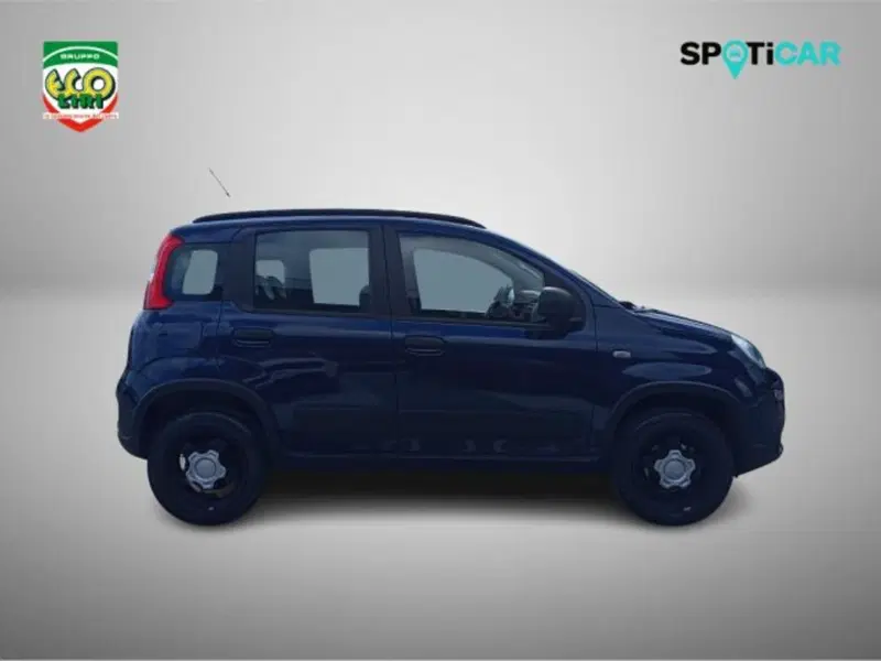 Fiat Panda Cross usata a Frosinone (4)