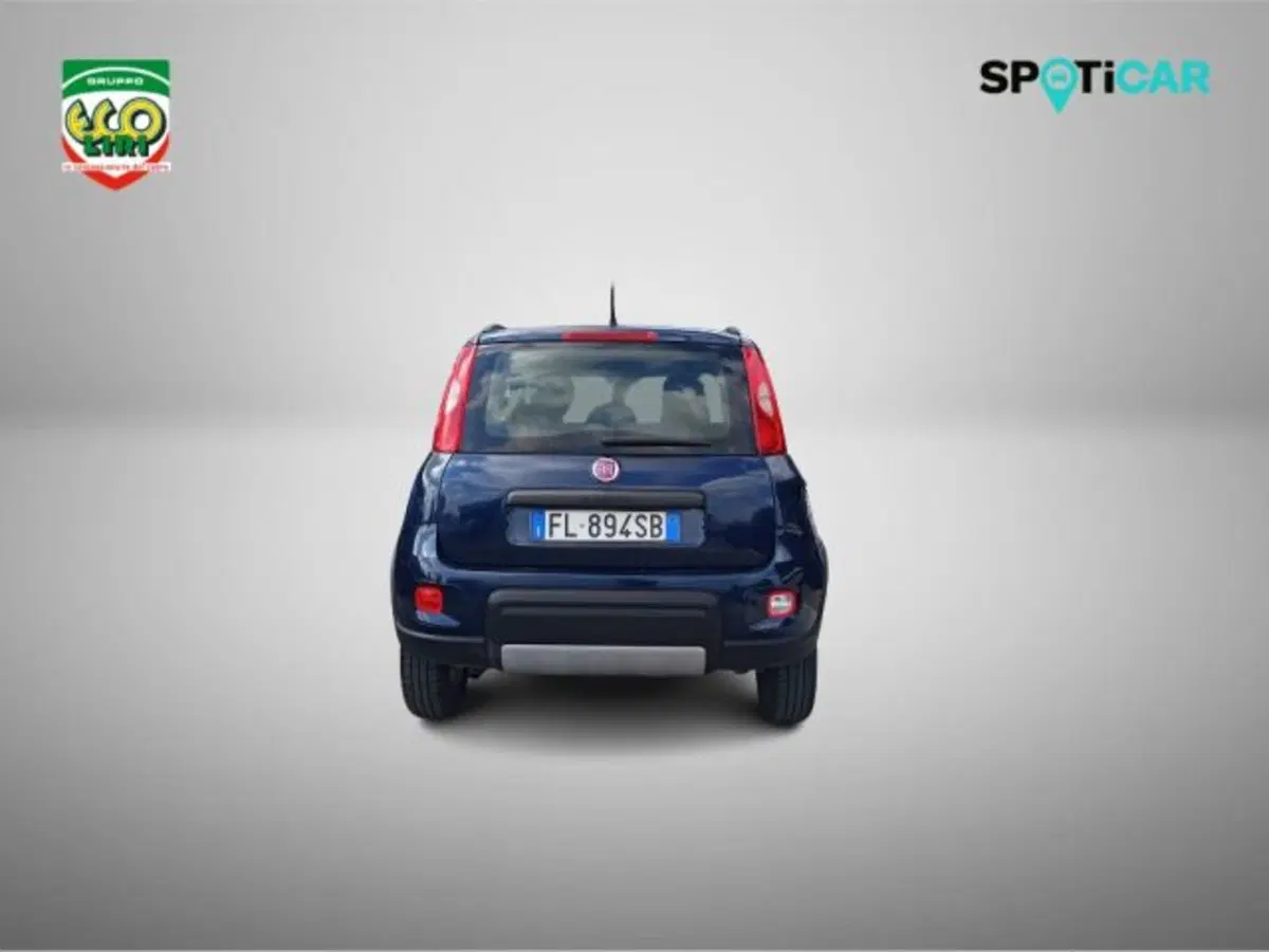 Fiat Panda Cross usata a Frosinone (5)
