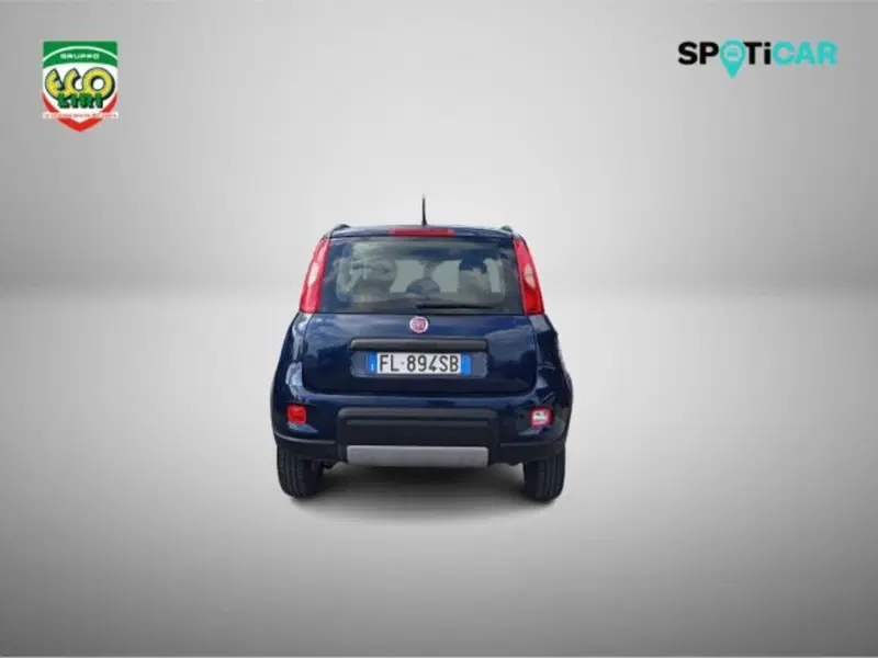 Fiat Panda Cross usata a Frosinone (5)