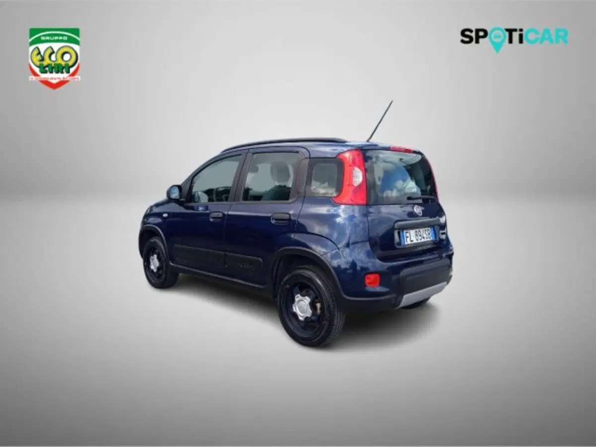 Fiat Panda Cross usata a Frosinone (6)