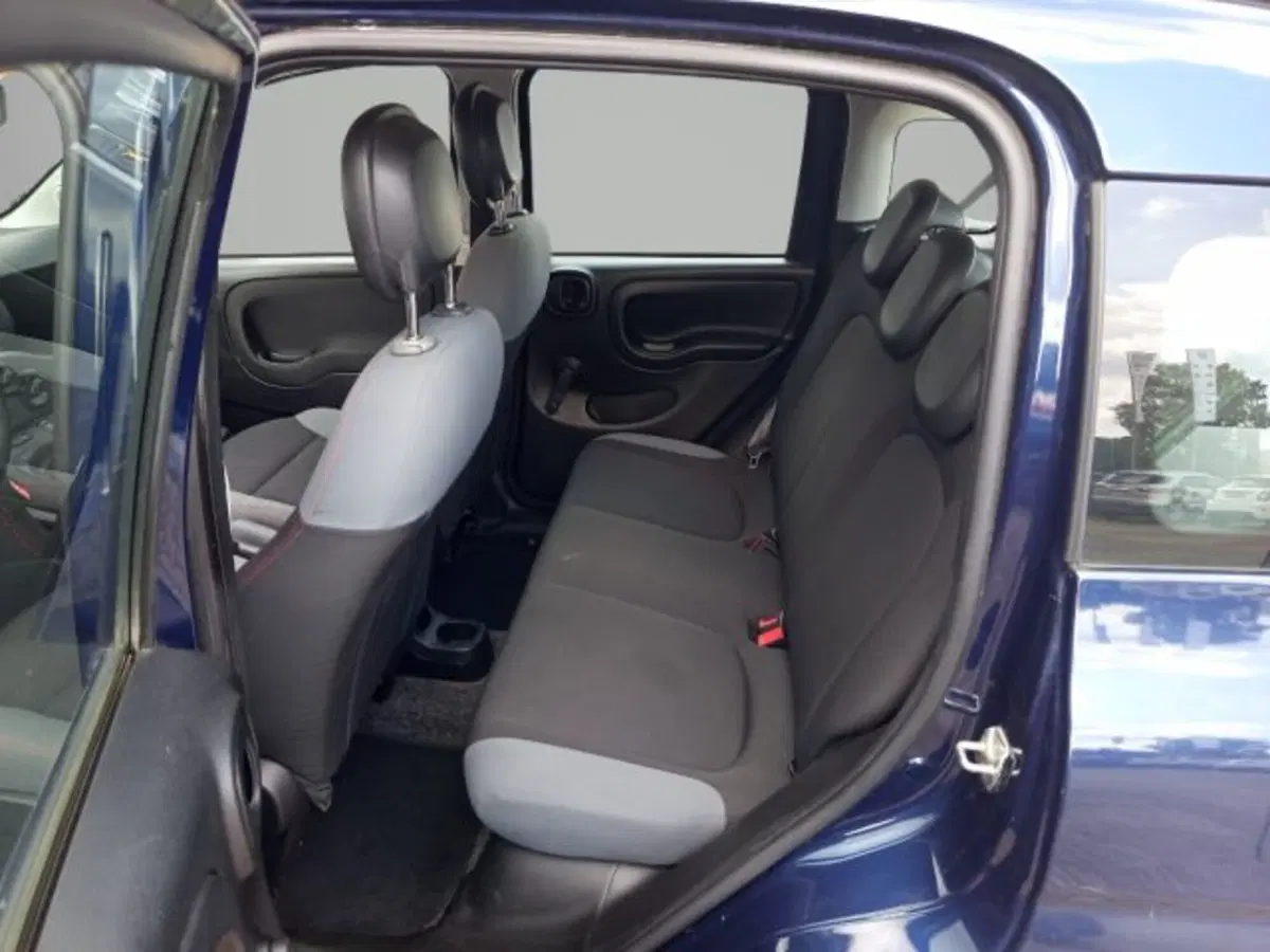 Fiat Panda Cross usata a Frosinone (8)
