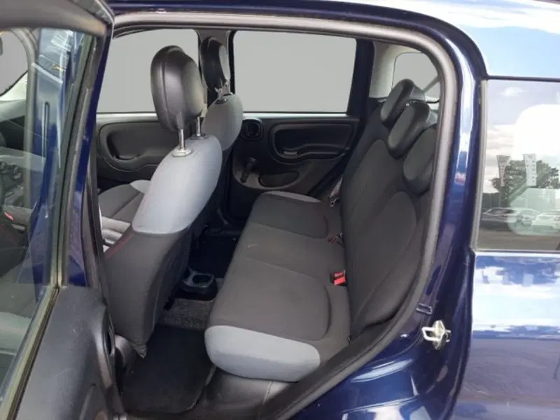 Fiat Panda Cross usata a Frosinone (8)