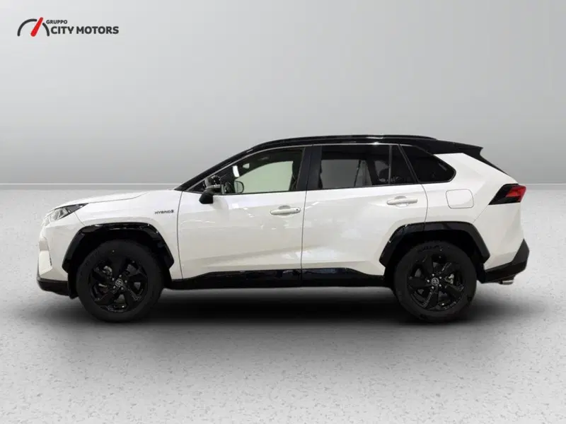 Toyota Rav4 usata a Monza e Brianza (4)