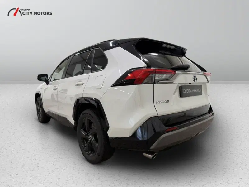 Toyota Rav4 usata a Monza e Brianza (5)