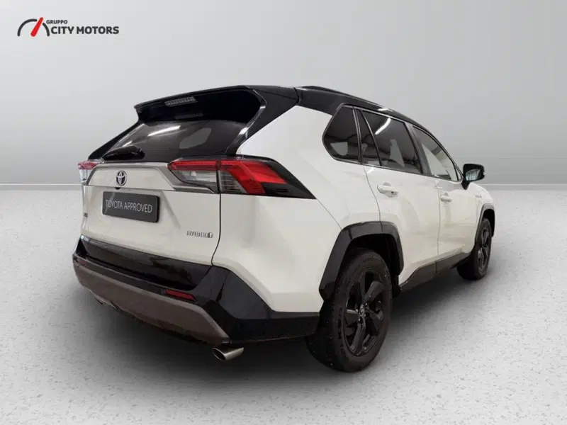 Toyota Rav4 usata a Monza e Brianza (7)
