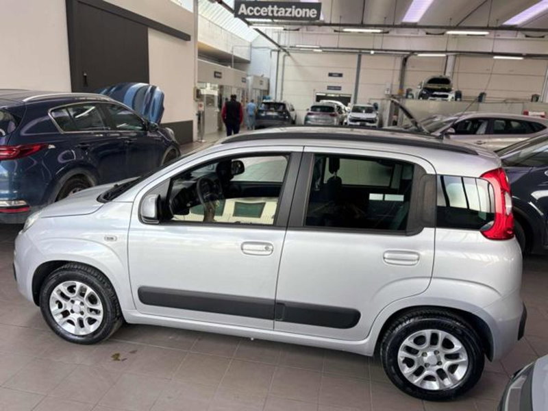 Fiat Panda usata a Pesaro-Urbino (5)