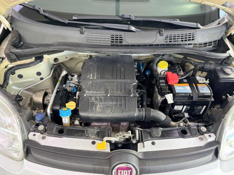 Fiat Panda usata a Pesaro-Urbino (9)