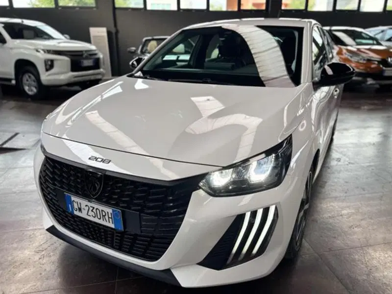 Peugeot 208 usata a Pesaro-Urbino (2)
