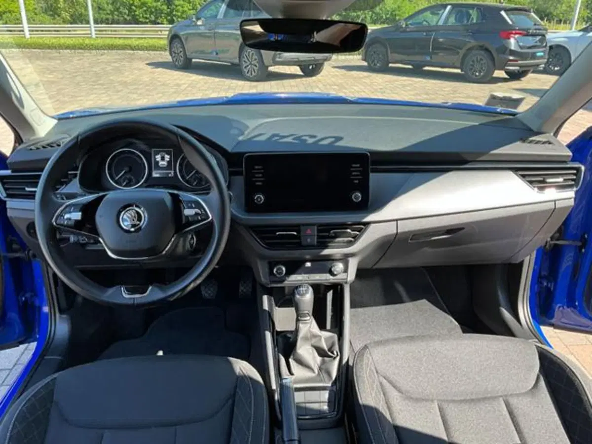Skoda Kamiq usata a Sondrio (4)