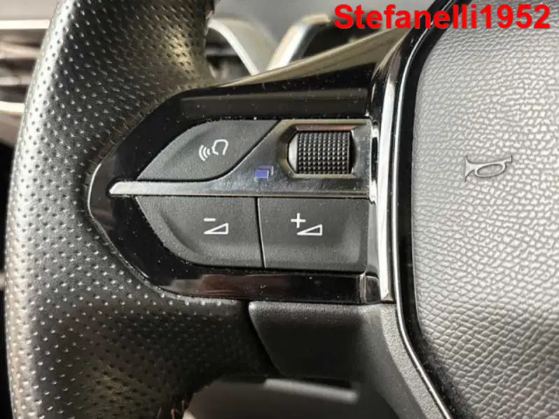 Peugeot 3008 usata a Bologna (20)