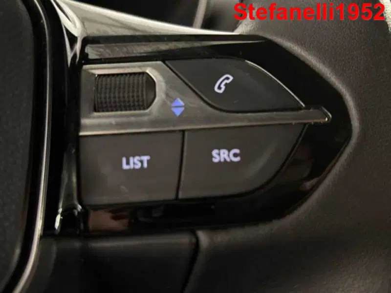 Peugeot 2008 usata a Bologna (19)