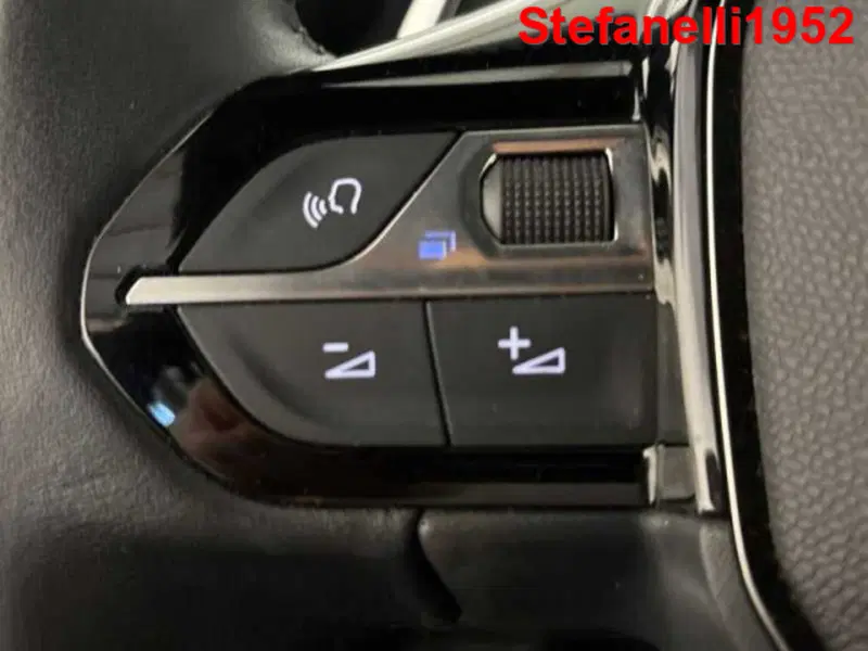 Peugeot 2008 usata a Bologna (20)