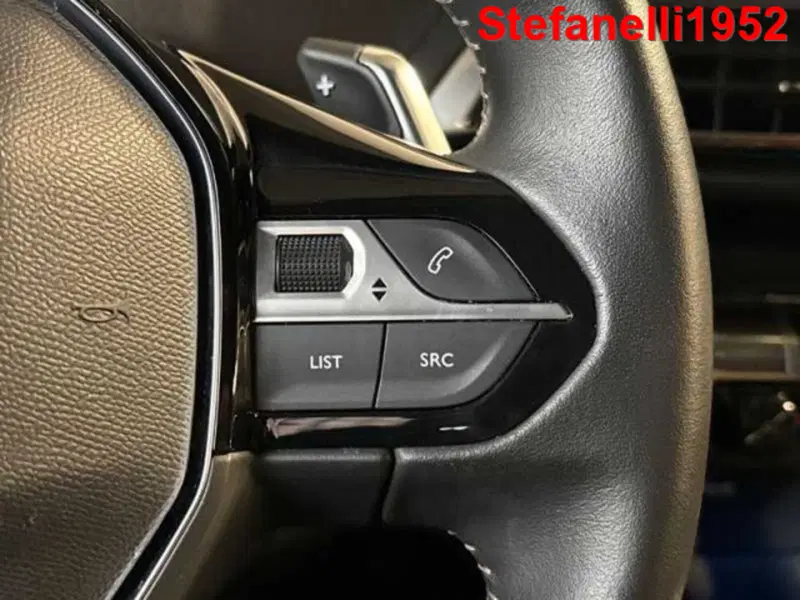 Peugeot 5008 usata a Bologna (19)
