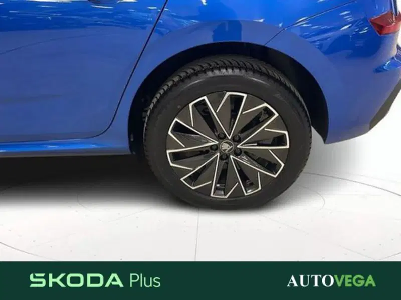 Skoda Kamiq usata a Vicenza (18)
