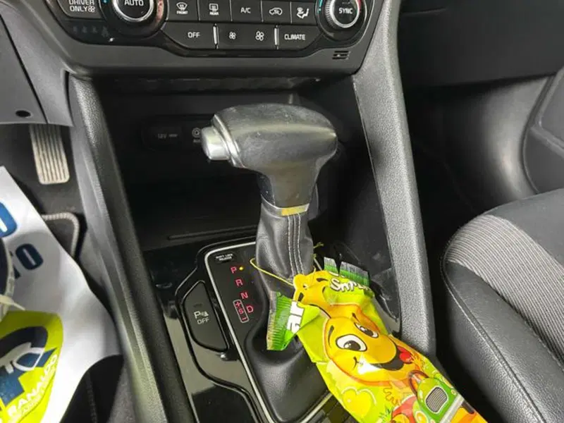 Kia Niro usata a Vercelli (15)