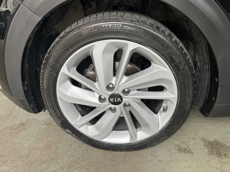 Kia Niro usata a Vercelli (9)