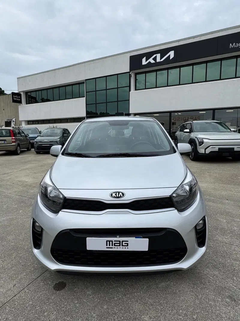 Kia Picanto usata a Cosenza (2)