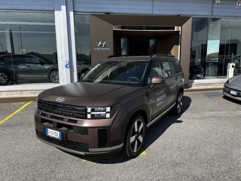 Hyundai Santa Fe nuova a Vercelli (2)