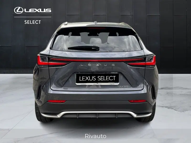 Lexus NX usata a Como (12)