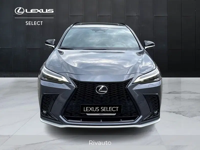 Lexus NX usata a Como (13)