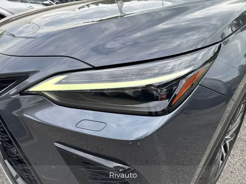 Lexus NX usata a Como (14)