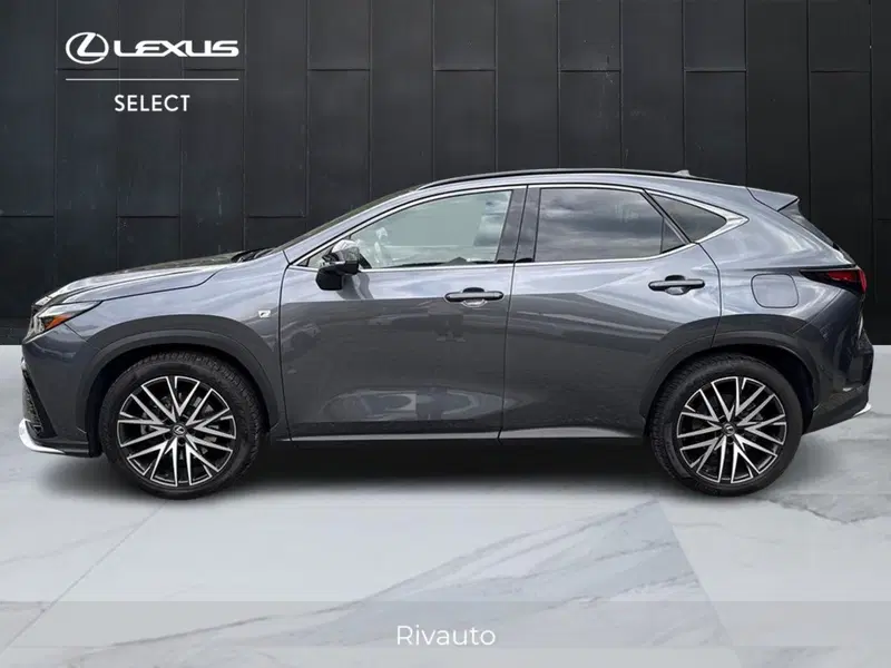 Lexus NX usata a Como (3)