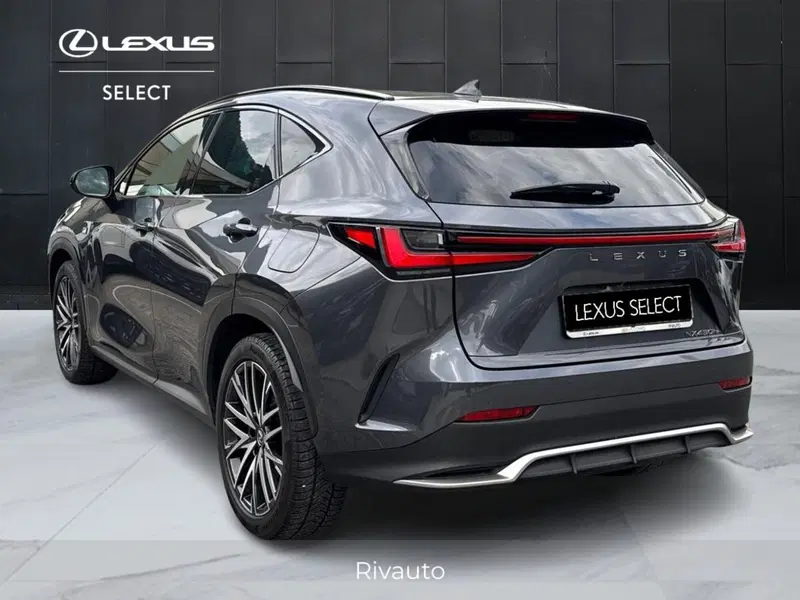 Lexus NX usata a Como (5)