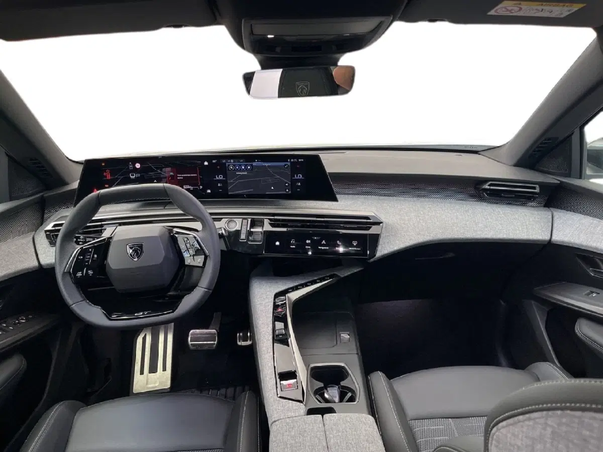 Peugeot 3008 usata a Torino (11)