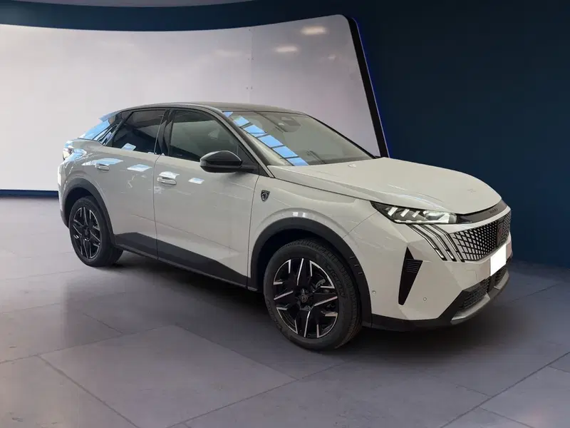 Peugeot 3008 usata a Torino (2)