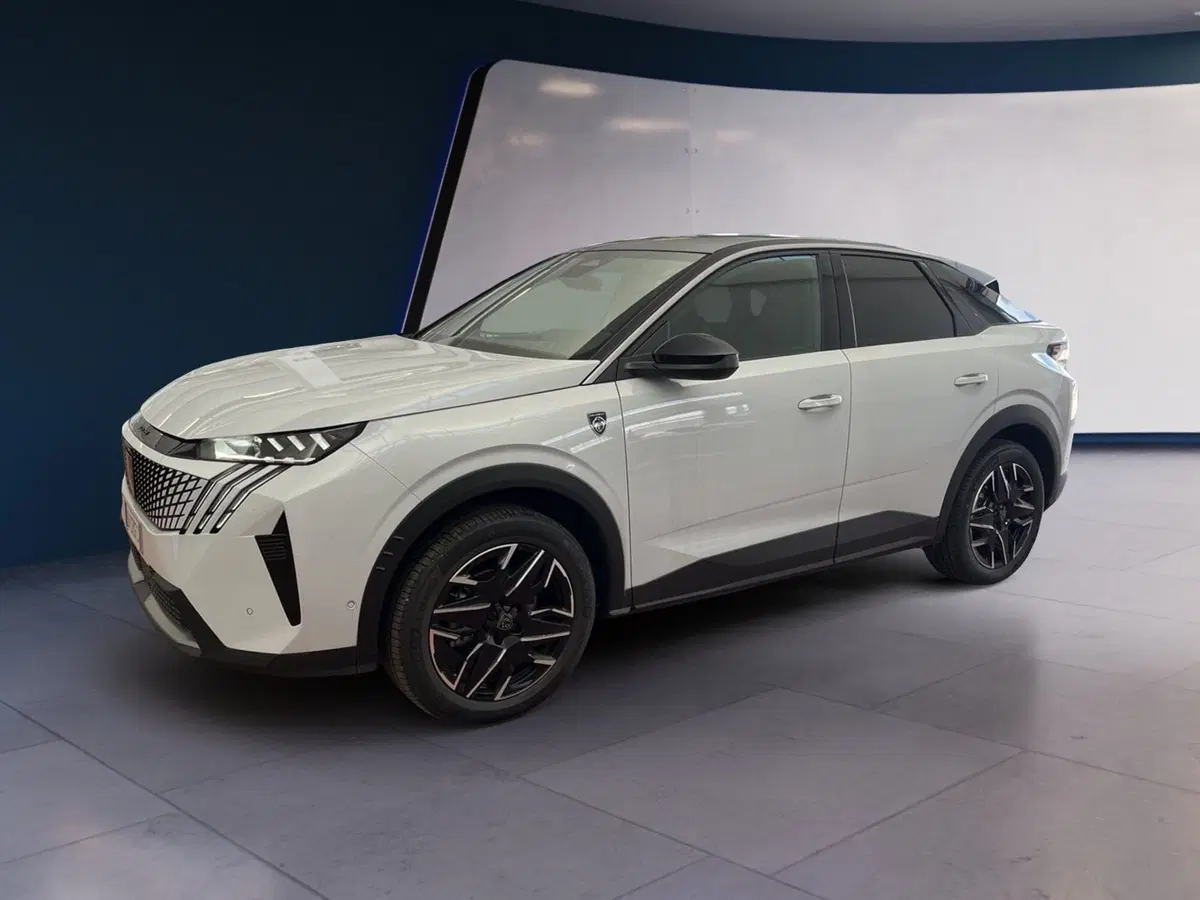 Peugeot 3008 usata a Torino (3)