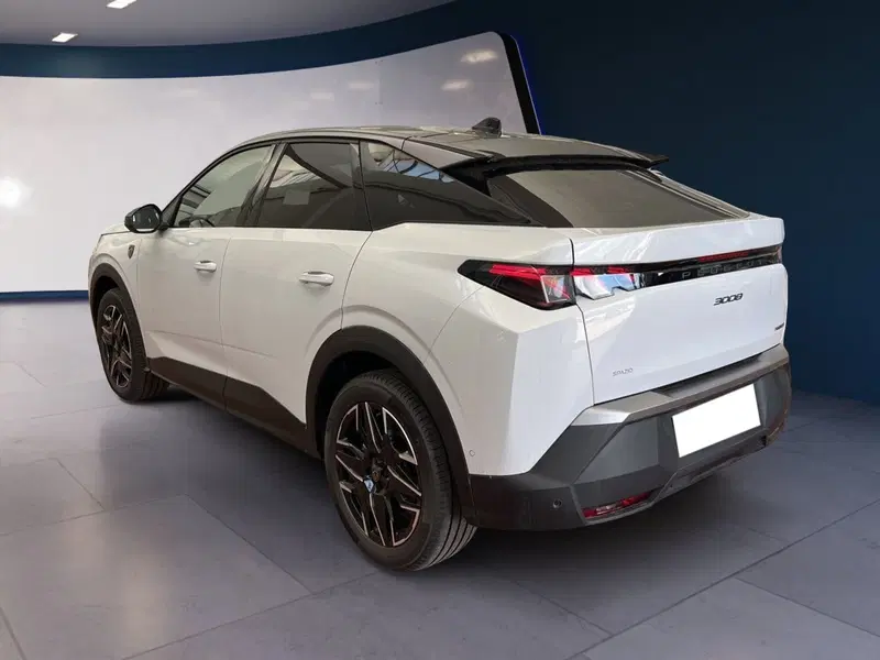 Peugeot 3008 usata a Torino (4)