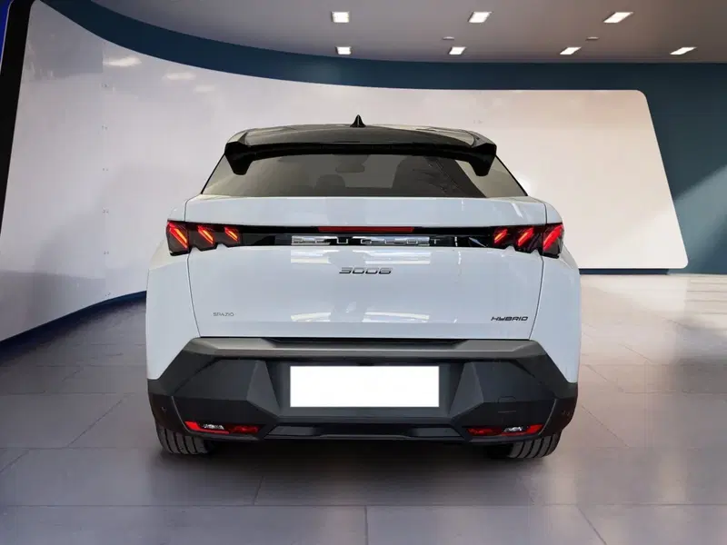 Peugeot 3008 usata a Torino (5)