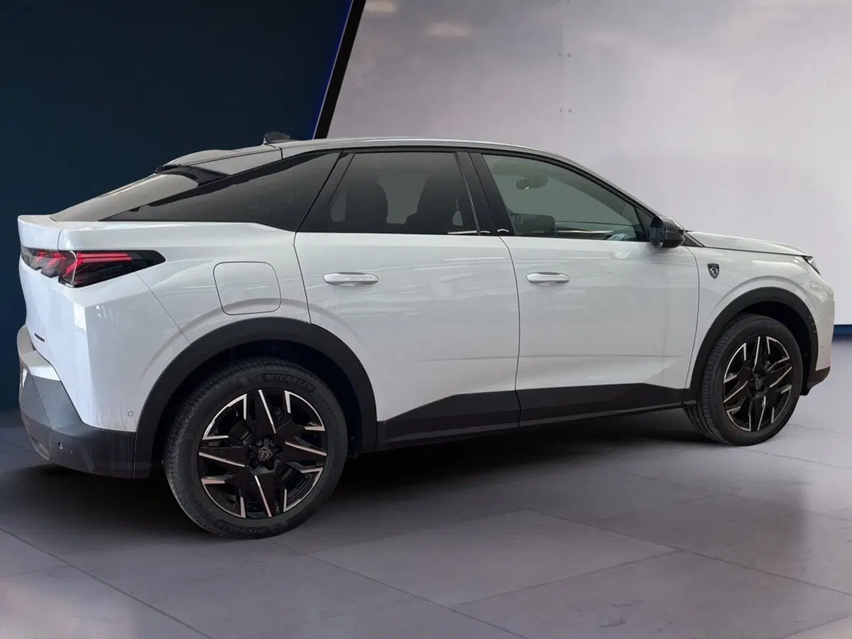 Peugeot 3008 usata a Torino (6)