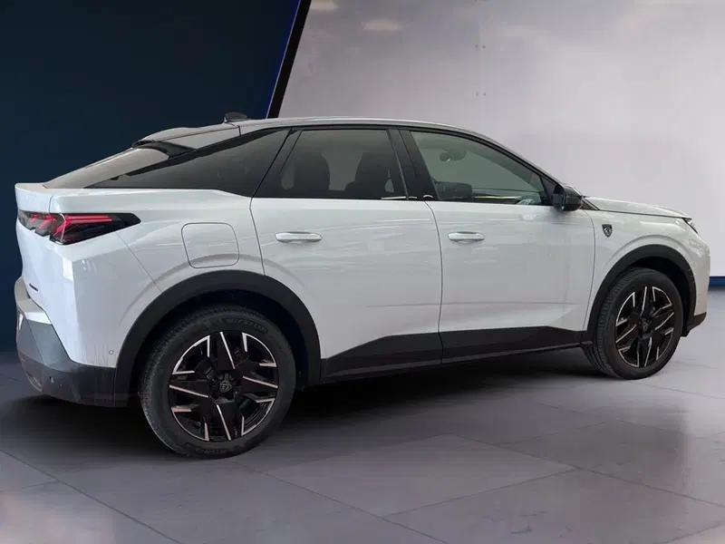 Peugeot 3008 usata a Torino (6)