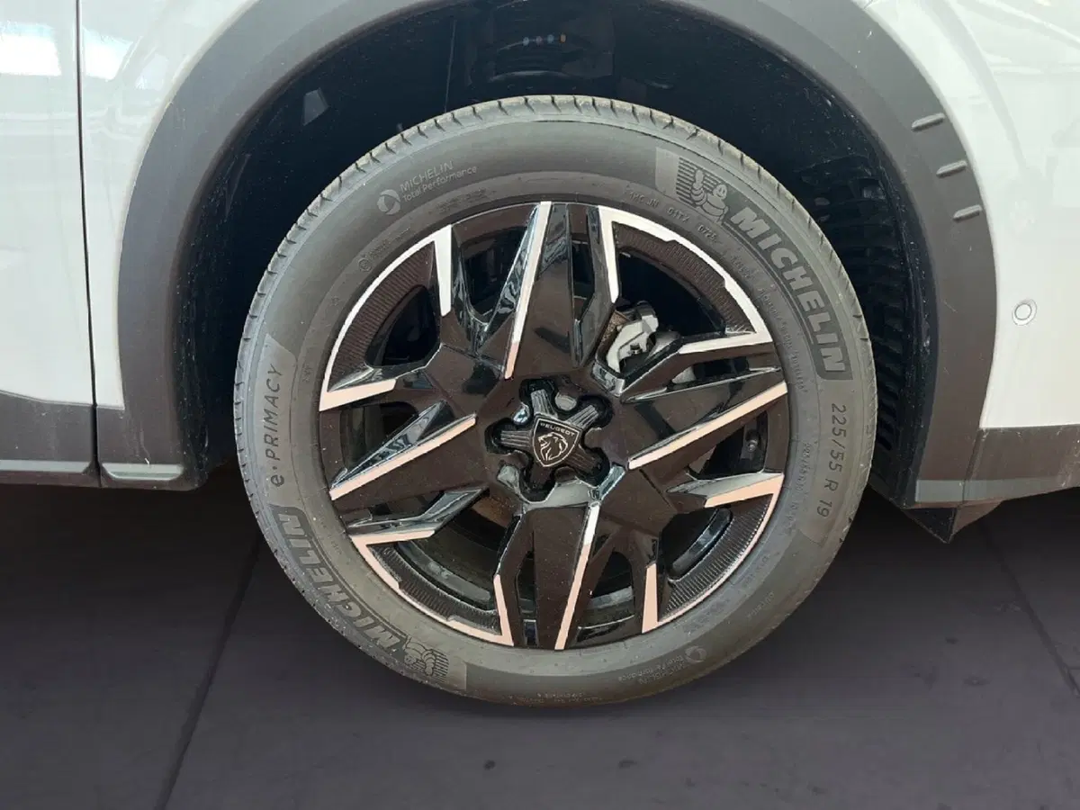 Peugeot 3008 usata a Torino (7)