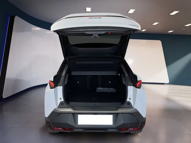 Peugeot 3008 usata a Torino (8)