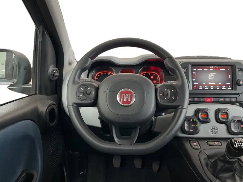 Fiat Panda Cross usata a Torino (10)