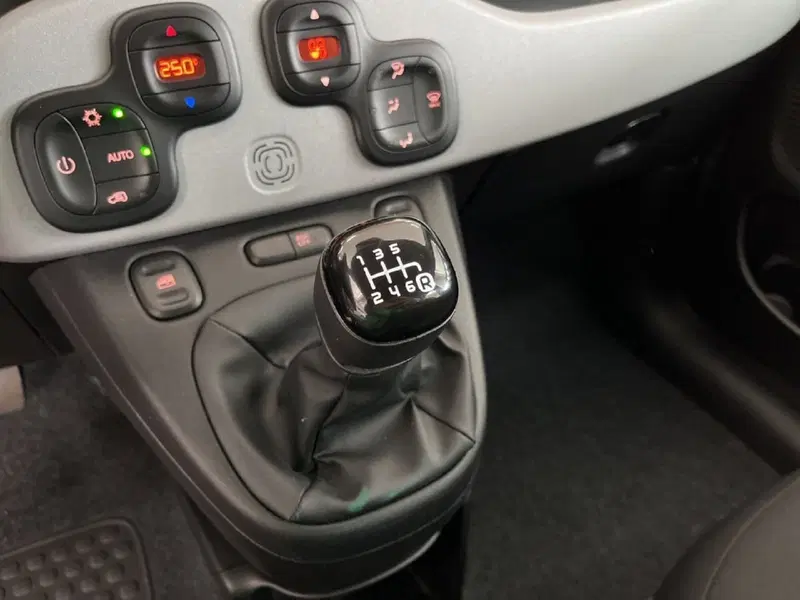 Fiat Panda Cross usata a Torino (11)