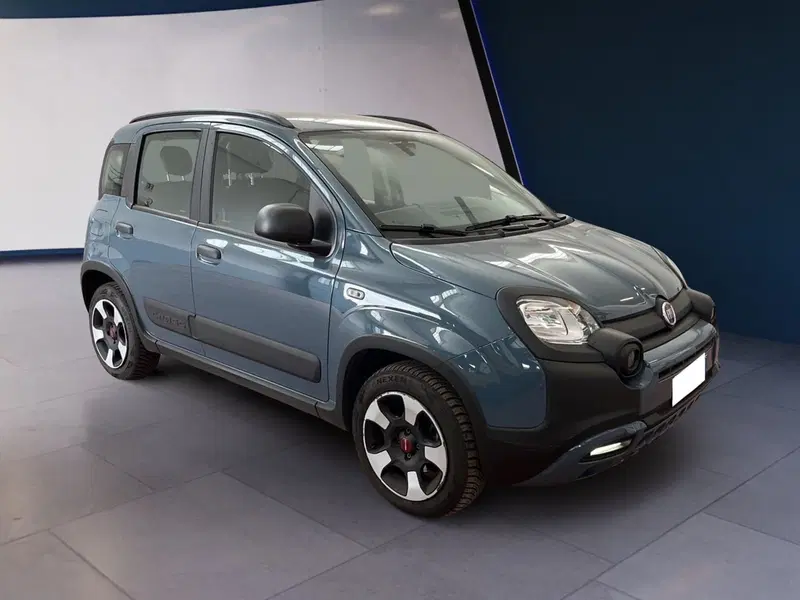 Fiat Panda Cross usata a Torino (2)