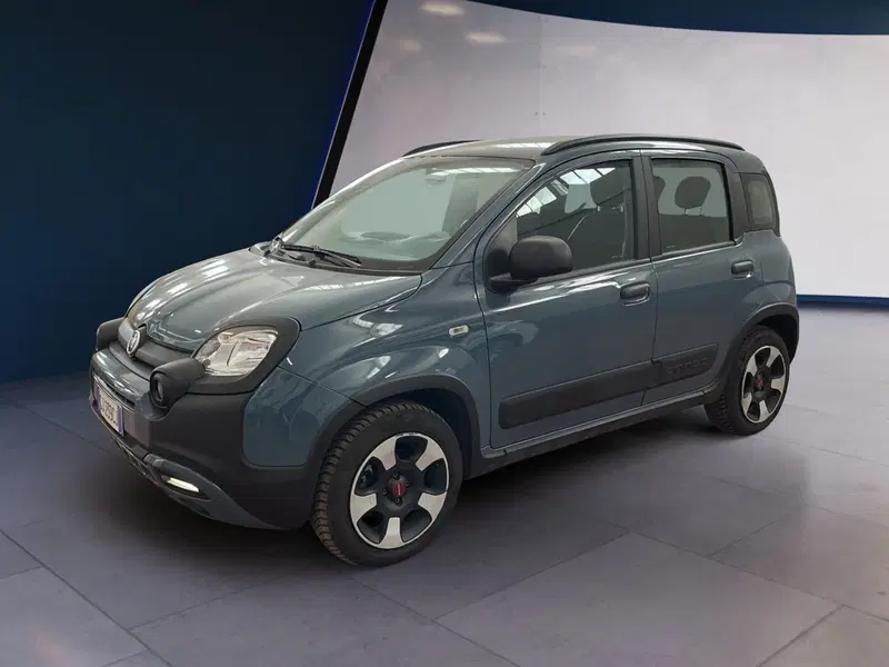 Fiat Panda Cross usata a Torino (3)