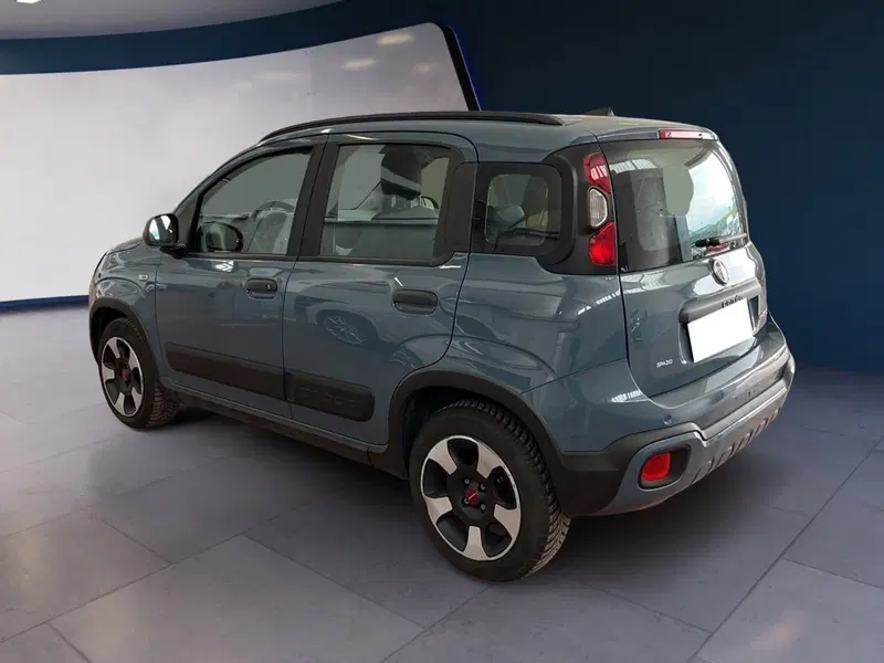 Fiat Panda Cross usata a Torino (4)