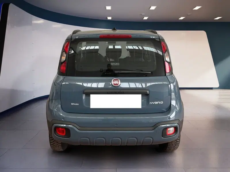 Fiat Panda Cross usata a Torino (5)