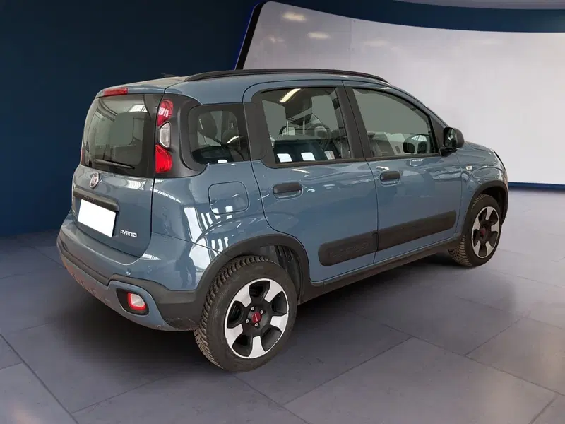 Fiat Panda Cross usata a Torino (6)