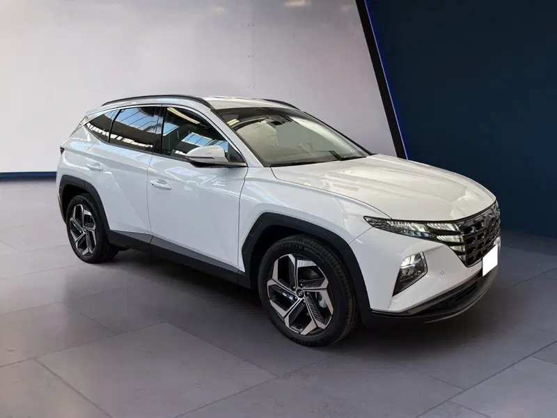 Hyundai Tucson usata a Torino (2)