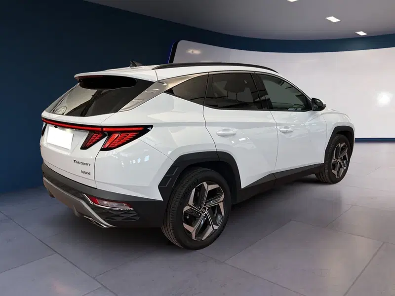 Hyundai Tucson usata a Torino (6)