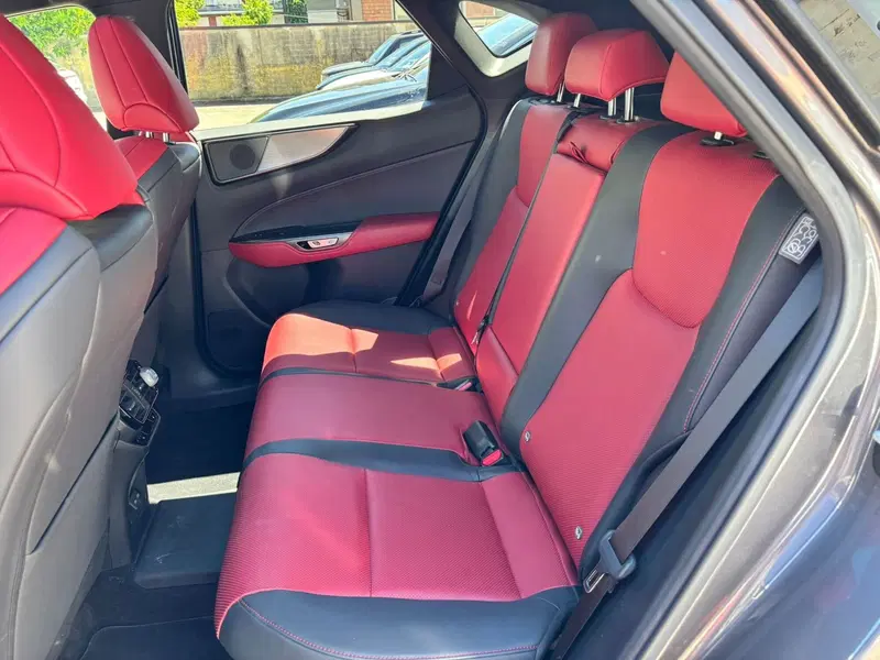 Lexus NX usata a Modena (14)