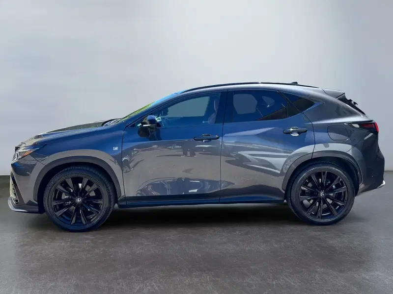 Lexus NX usata a Modena (4)