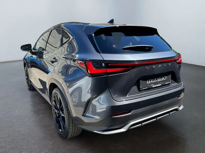 Lexus NX usata a Modena (7)